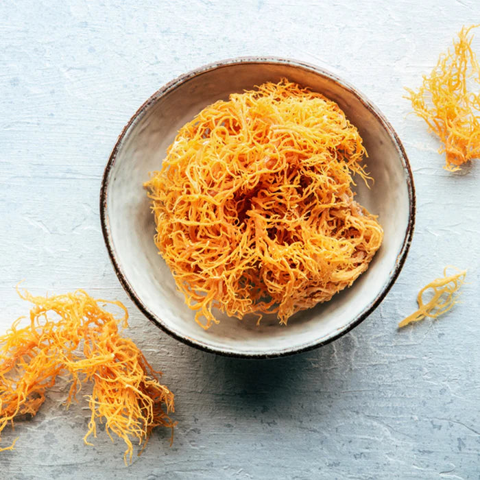 The Benefits of Sea Moss: How to Incorporate It into Your Daily Routine